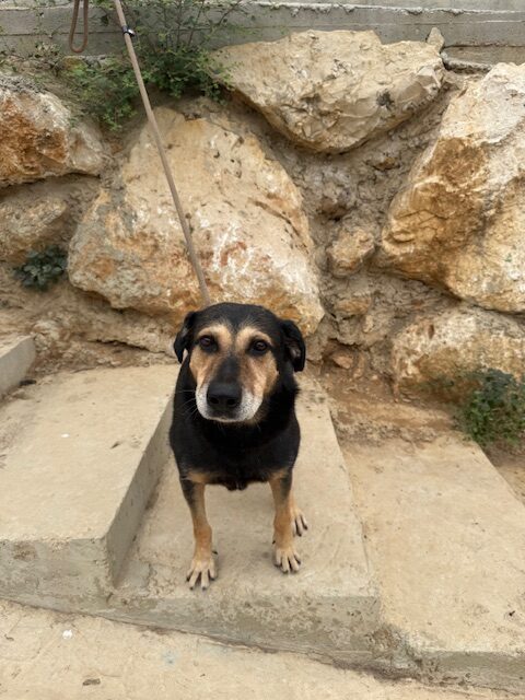 Cubby (13)