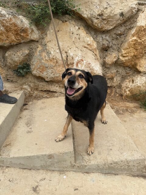 Cubby (18)