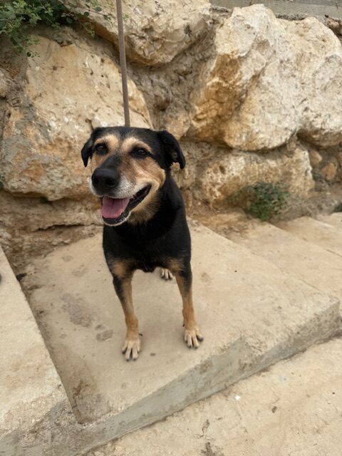 Cubby (19)