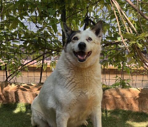 JOANNA