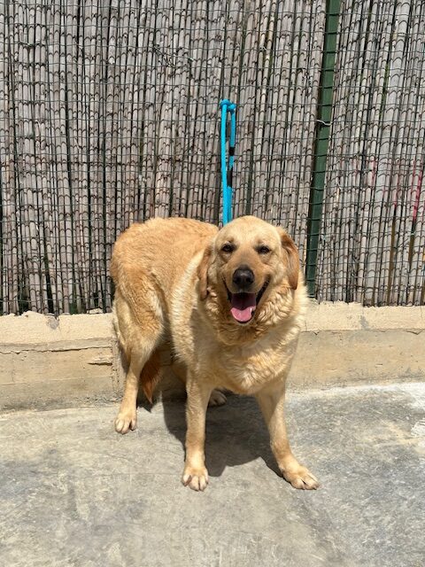 Ponce (14)