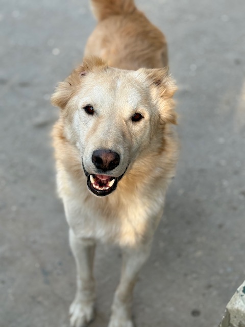 Gandalf 2 (13)