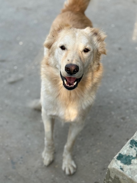 Gandalf 2 (14)