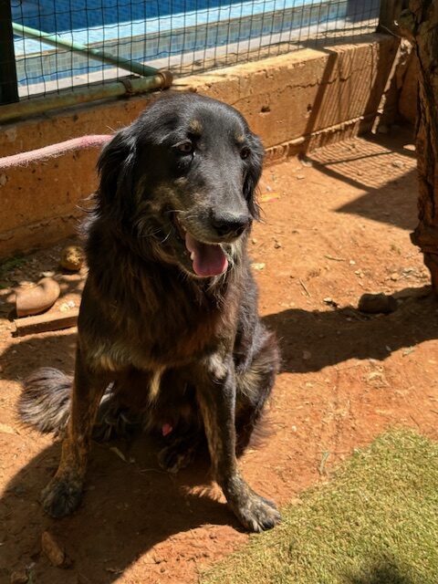 Orio (42)