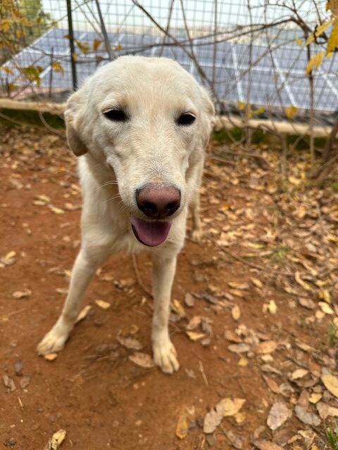 Glenda (13)