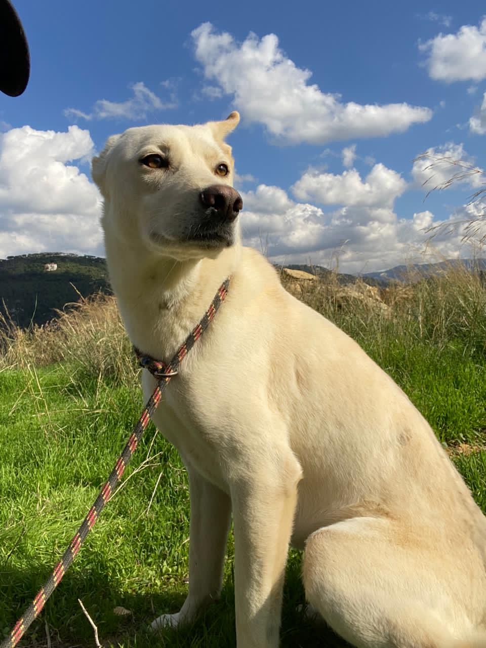 Nelda (13)