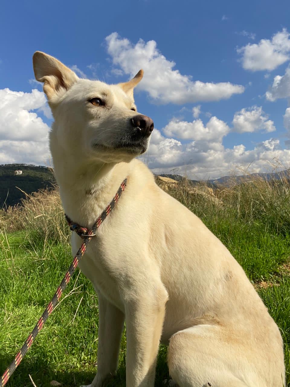 Nelda (14)