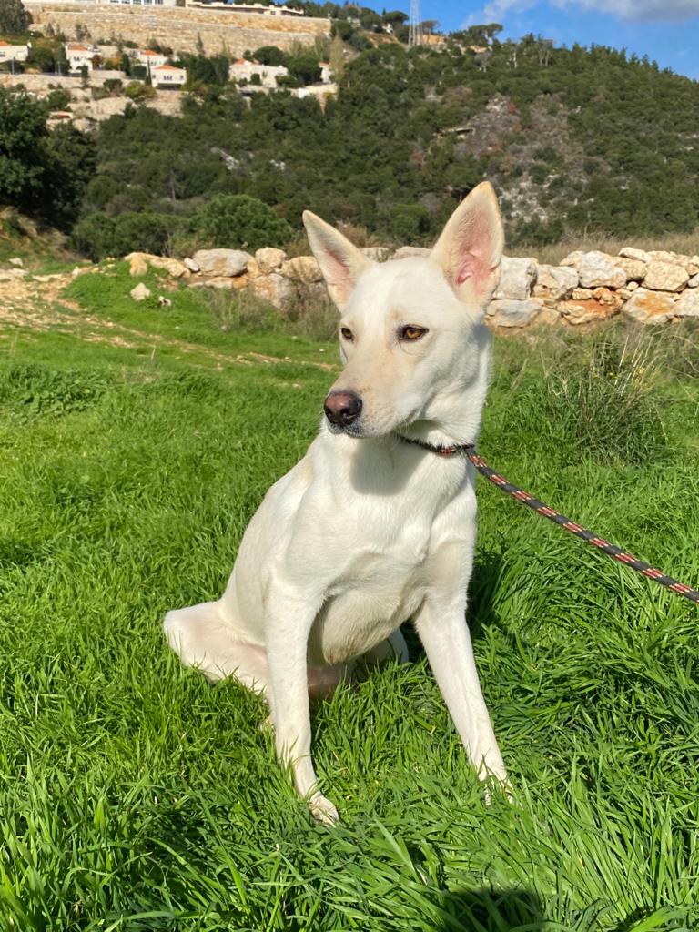 Nelda (20)