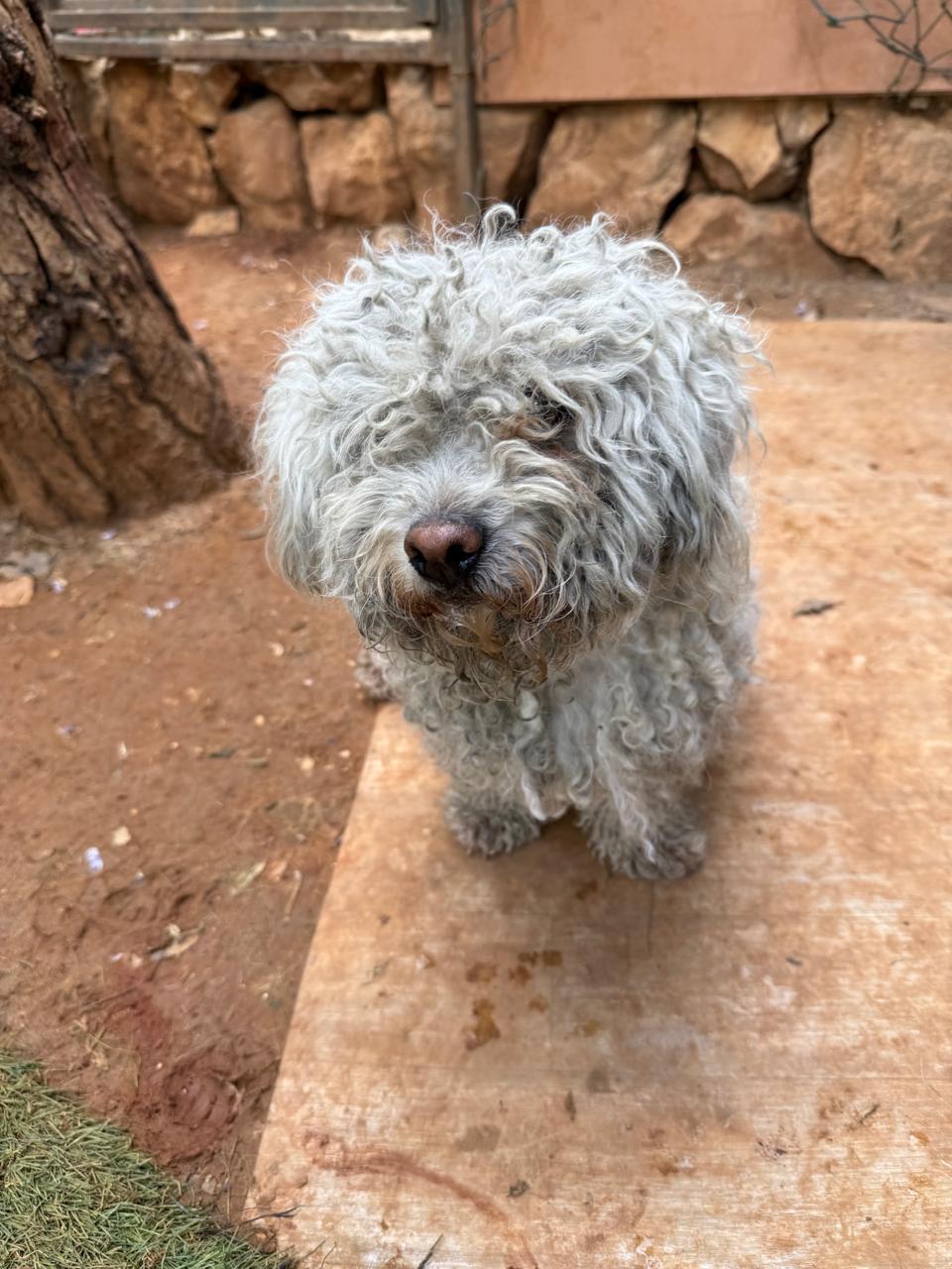 Leeto (11)