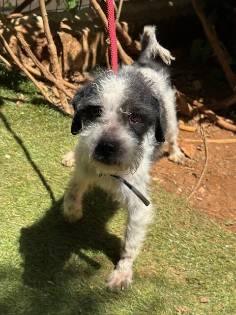 Malou (2)