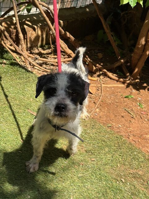 Malou (3)