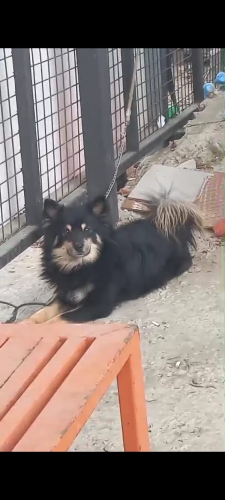 Ukiyo