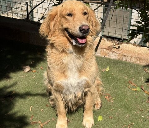 FLOY