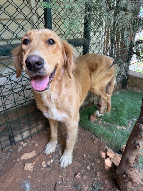 Floy (12)