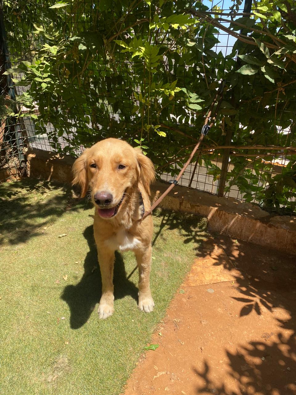 Floy (9)