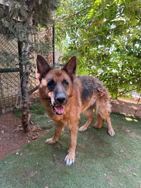 Kiona (1)