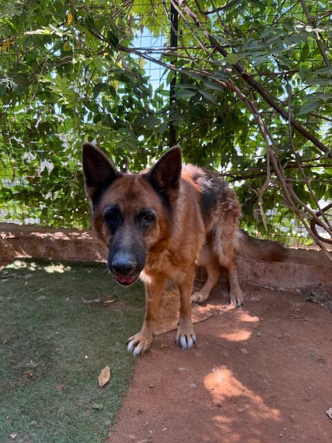 Kiona (2)