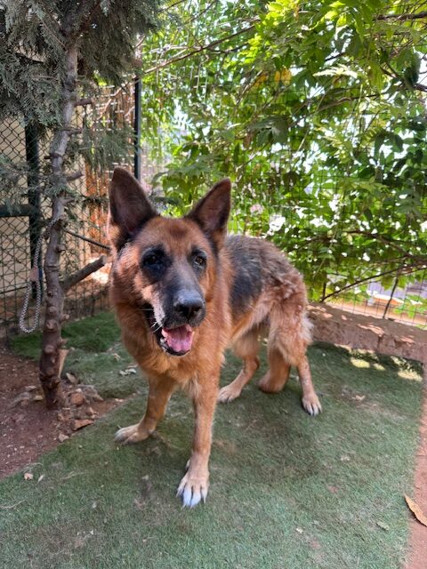 Kiona (9)