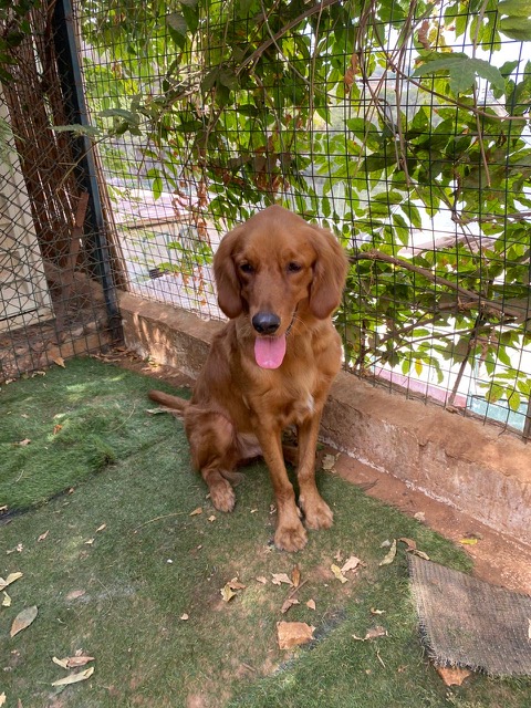 Rawley (7)