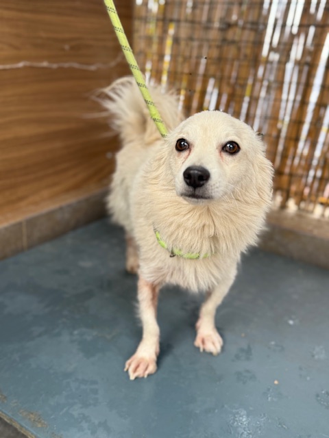 Tin2 (9)