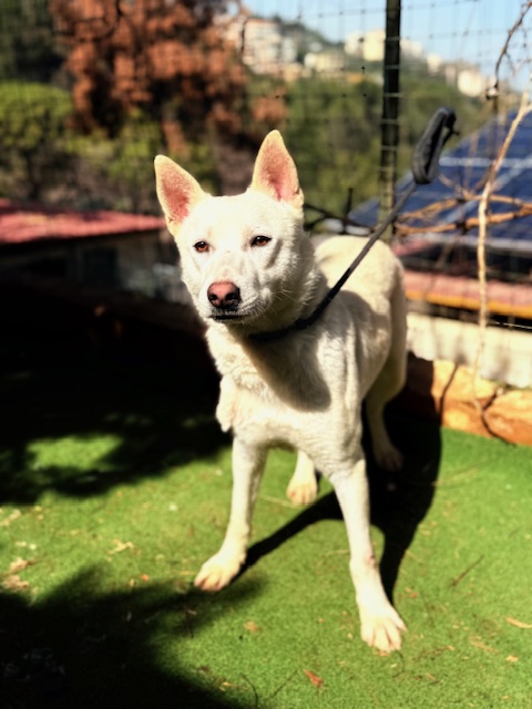 Twyla (11)