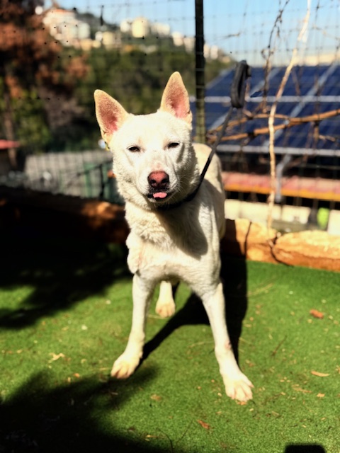 Twyla (12)