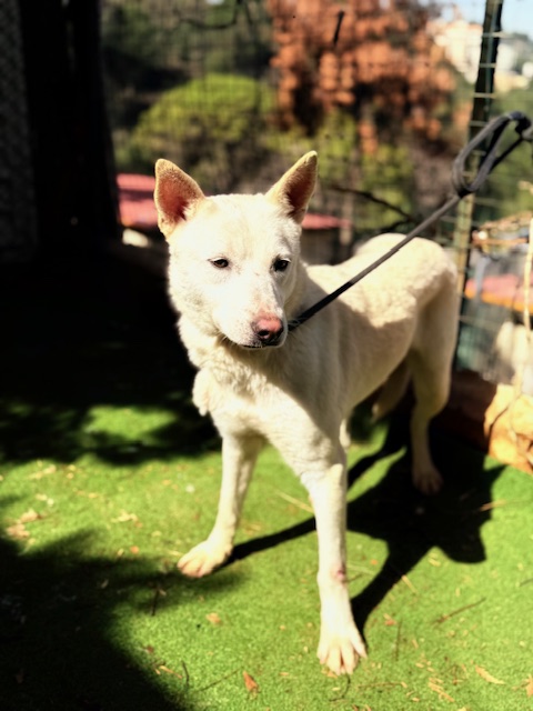 Twyla (20)