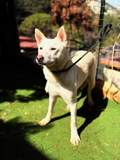 Twyla (9)
