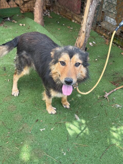 Addai (22)