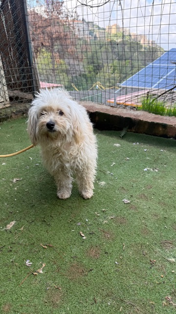 Flossie (10)