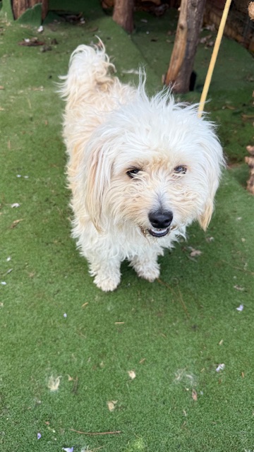 Flossie (9)