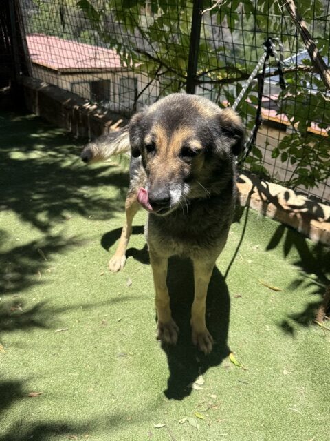Kiera 1 (10)