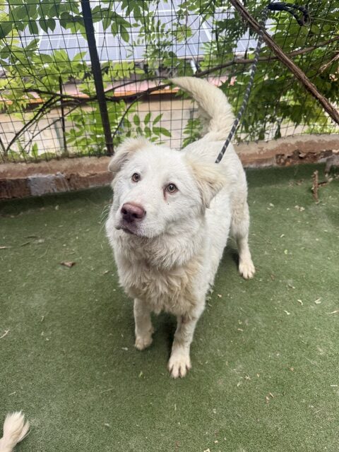 Teegan (2)