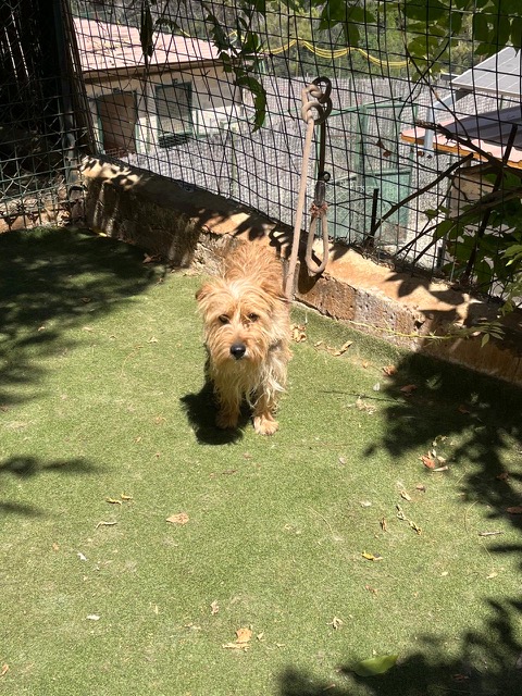Aris (4)