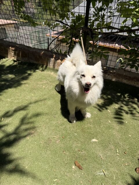 Bea (10)
