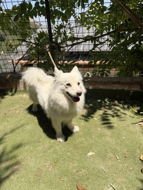 Bea (9)