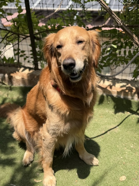 Grump (29)
