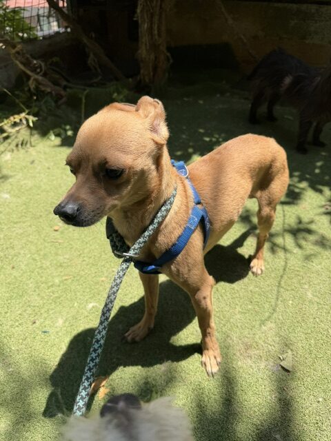 Jerry (14)