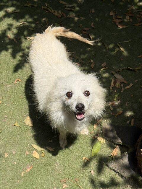 Retta (11)