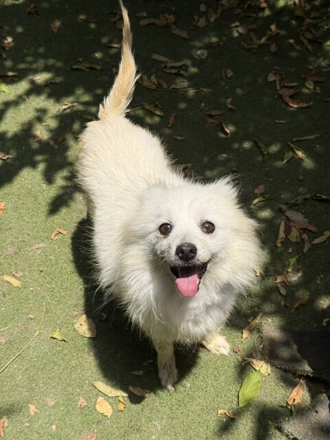 Retta (13)