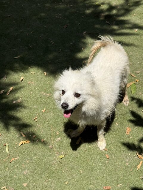Retta (16)