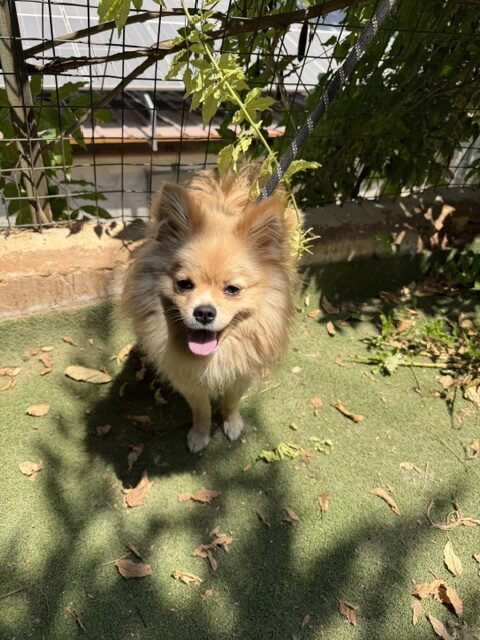 Teddy 4 (32)